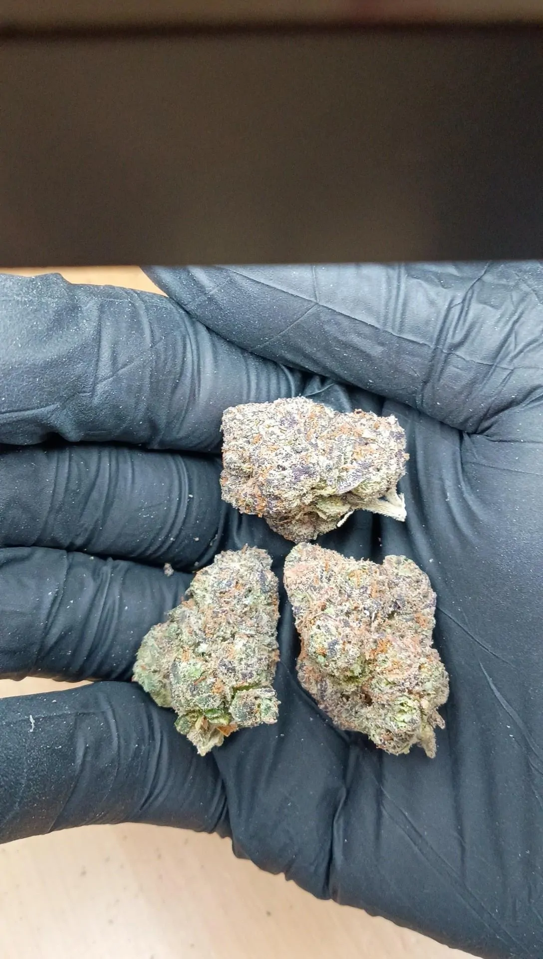 Lemon Cherry Gelato Flower